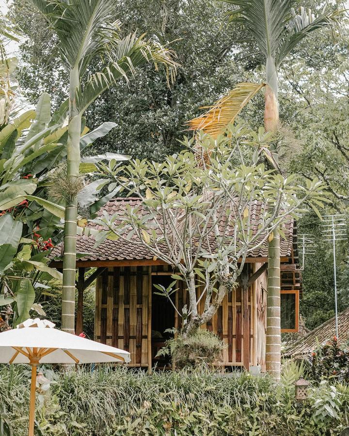 Hotel Song Broek Bali Payangan Zewnętrze zdjęcie