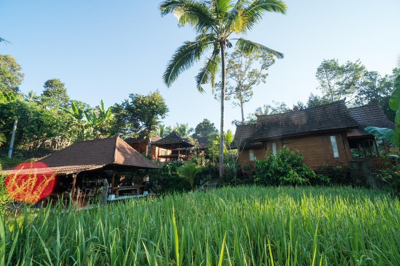 Hotel Song Broek Bali Payangan Zewnętrze zdjęcie